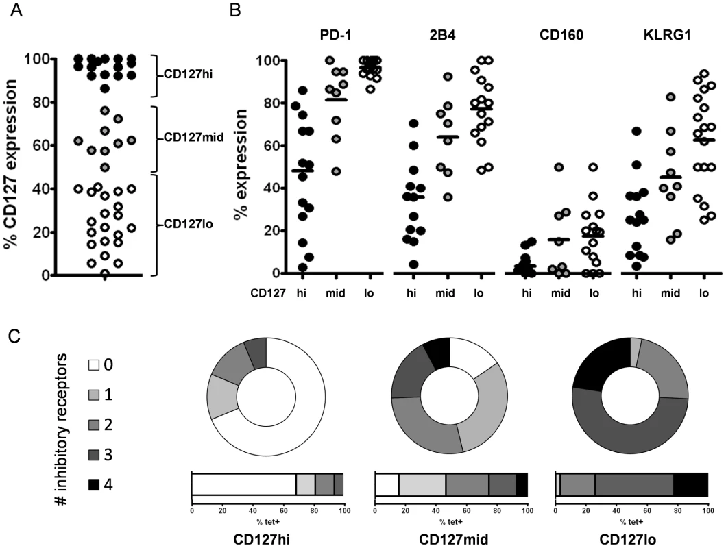 Inhibitory receptor expression is inversely linked to level of CD127 expression.