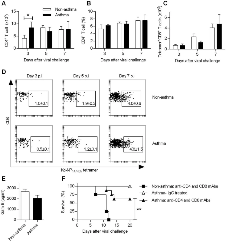 Increased resistance in asthmatic mice is T cell independent.