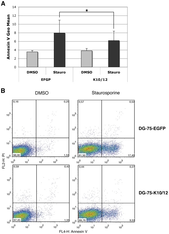 DG-75 cells expressing KSHV miRNAs are less sensitive to apoptosis.