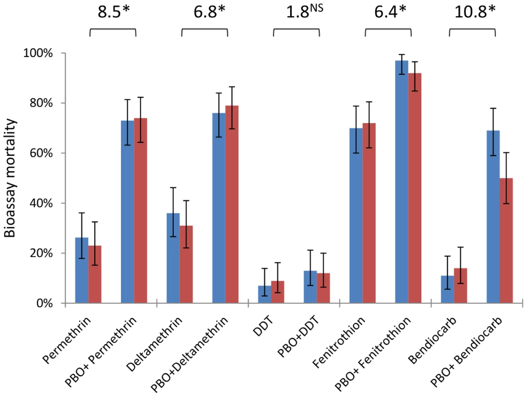 Insecticide resistance phenotypes from dry (blue) and wet (red) seasons with and without the synergist PBO.