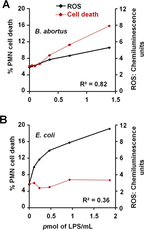 <i>Br</i>-LPS-induced PMN cell death correlates with low ROS formation.