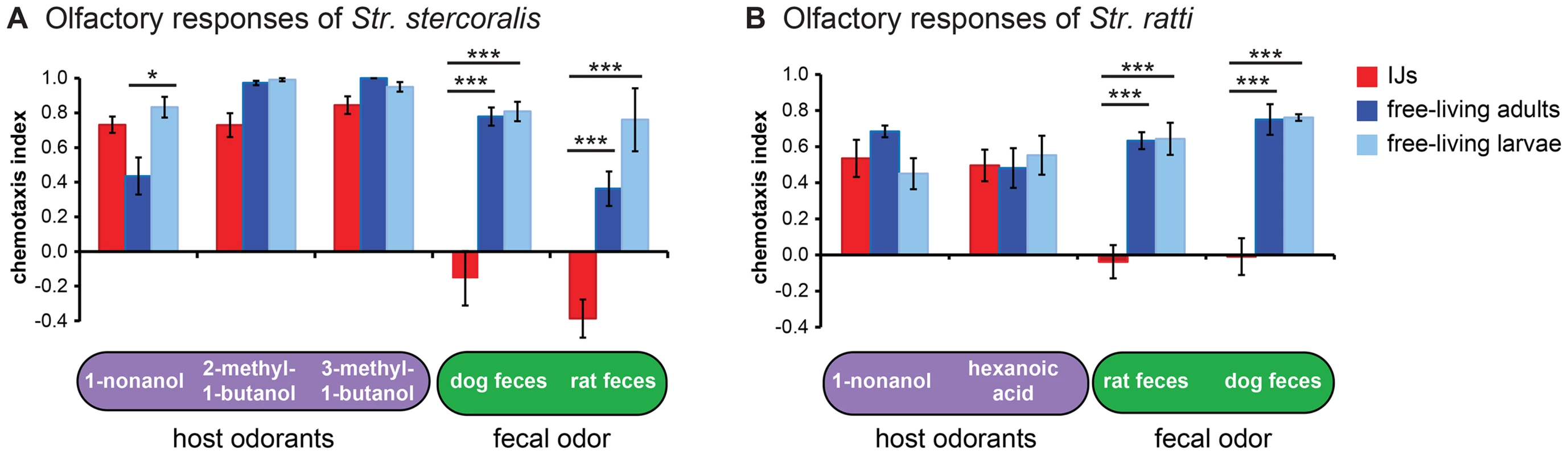 Olfactory responses of <i>Strongyloides</i> species vary across life stages.