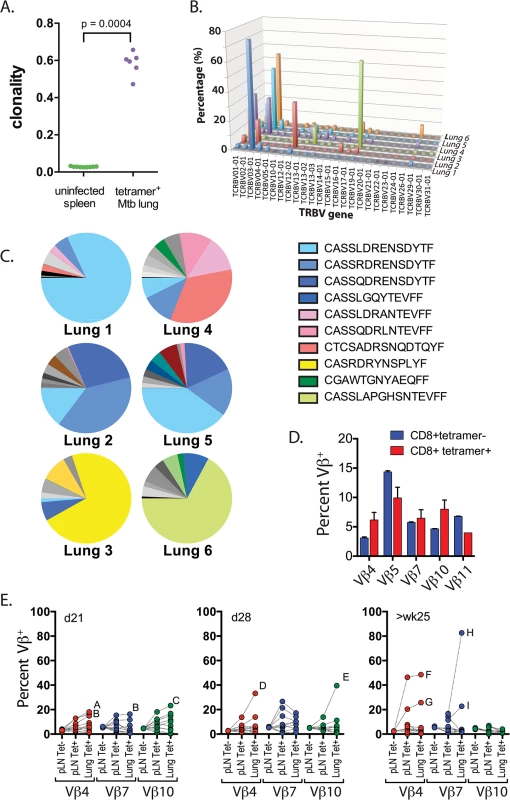 Clonal expansions of CD8+ T cells specific for the immunodominant antigen TB10.4.