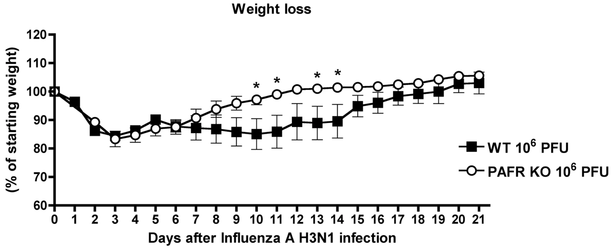 Weight loss after Influenza A (equine/Cordoba/18/1985 - Yamagata/32/1989) H3N1 infection of WT and PAFR-deficient mice.