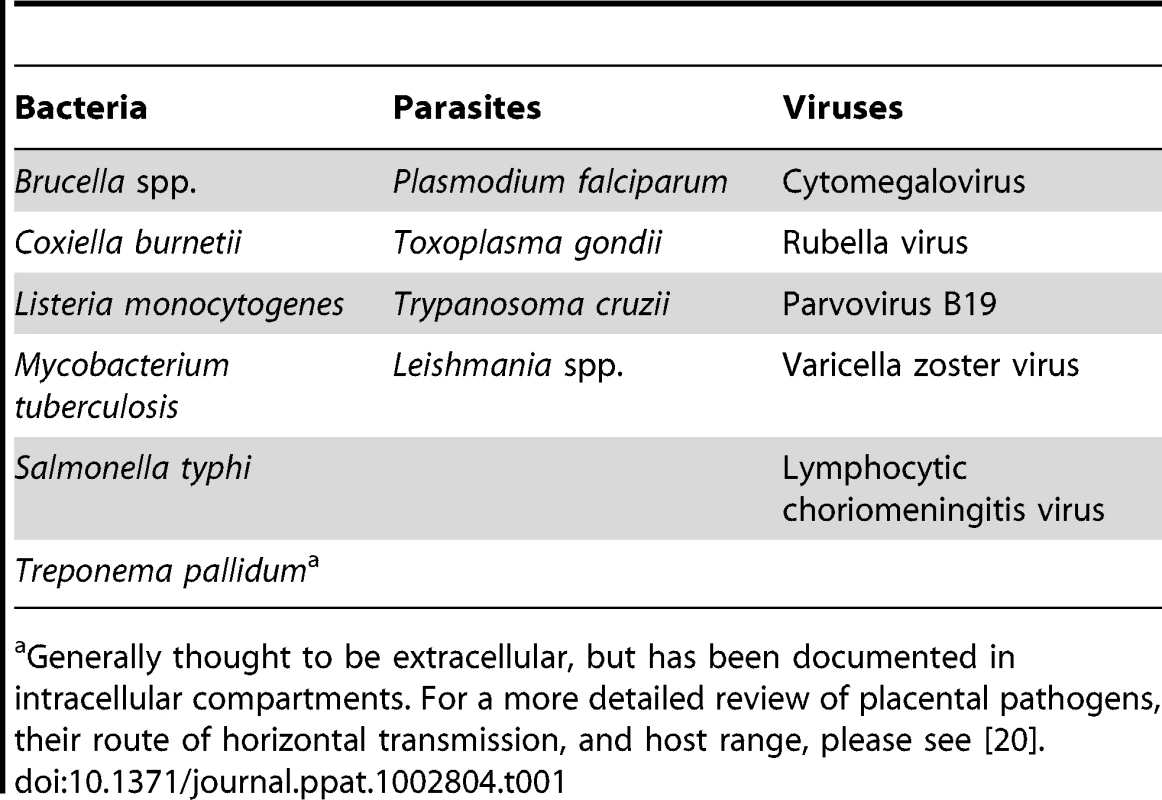 Placental pathogens.