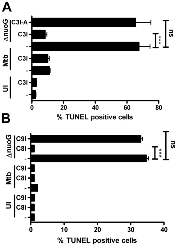 Mtb NuoG mediates inhibition of extrinsic but not intrinsic apoptosis pathways.