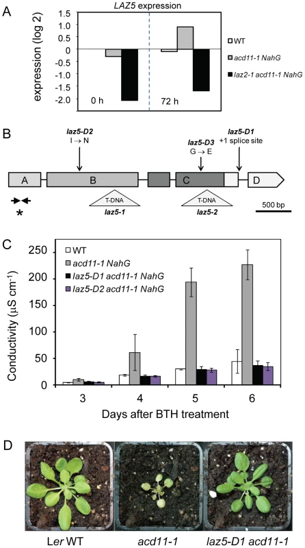 <i>acd11</i> autoimmunity requires LAZ5, a TIR-NB-LRR immune receptor.