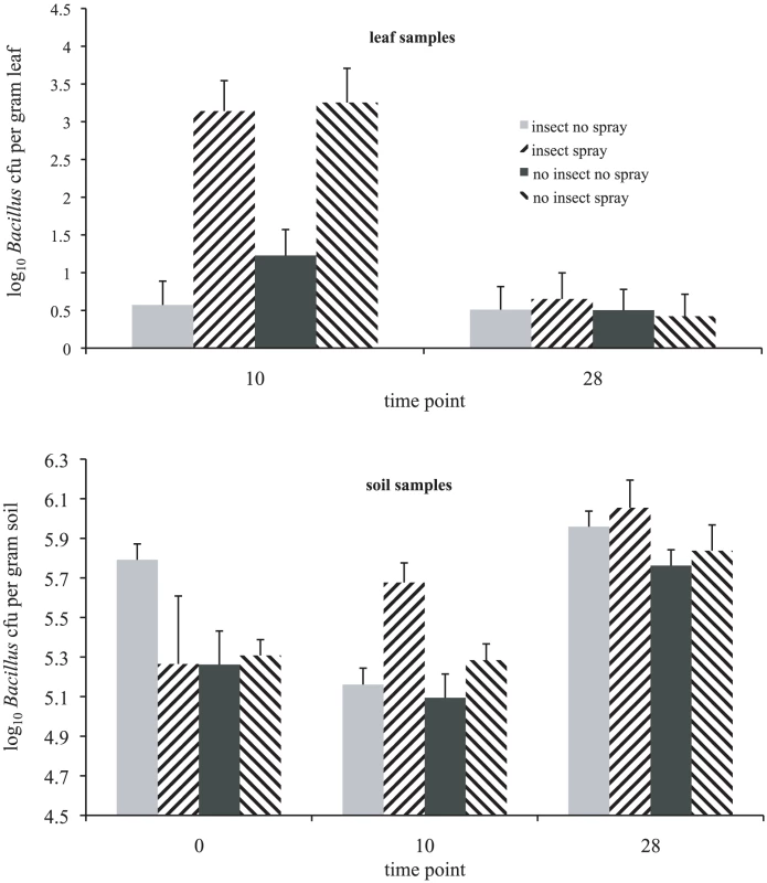 The effect of the presence of insect hosts and biopesticide application on bacterial abundance of the <i>Bacillus cereus</i> group in experimental enclosures.