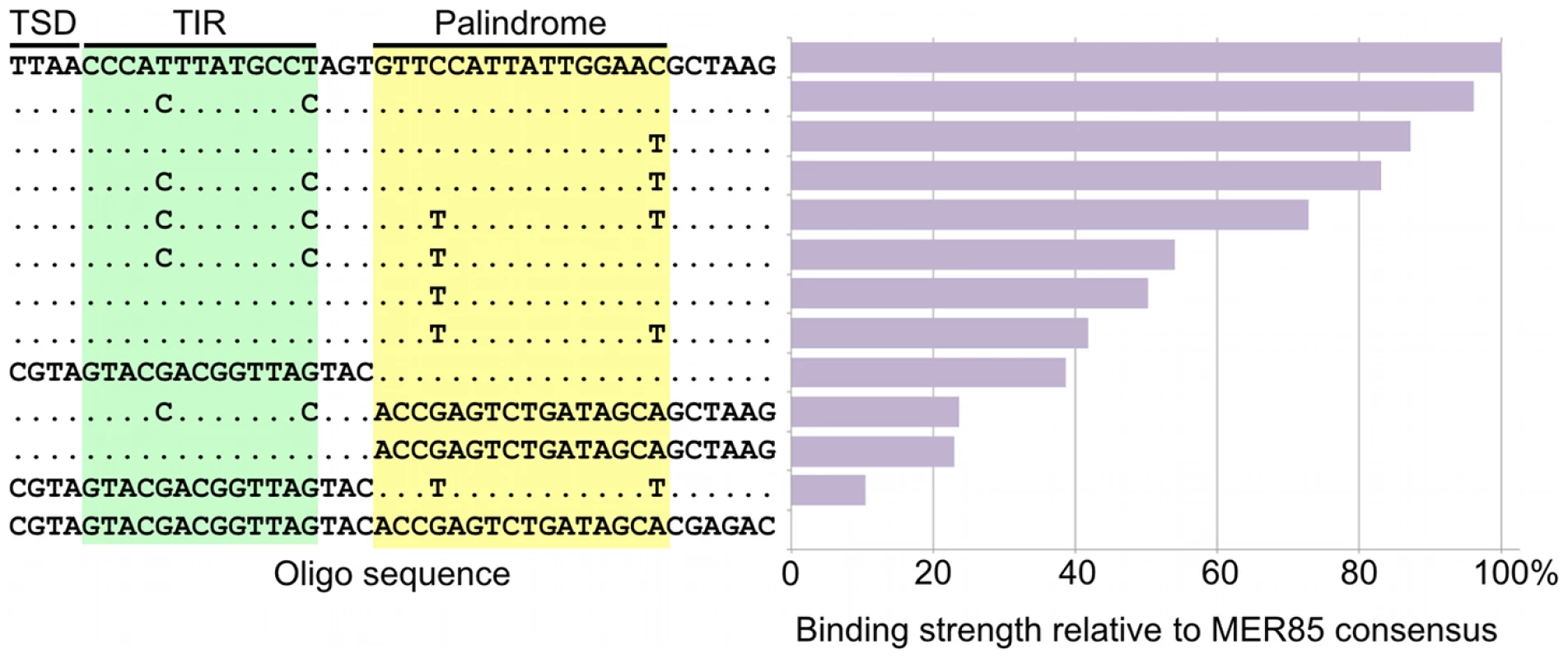 Mutations in the palindromic region reduce PGBD3 transposase binding affinity for MER85s.