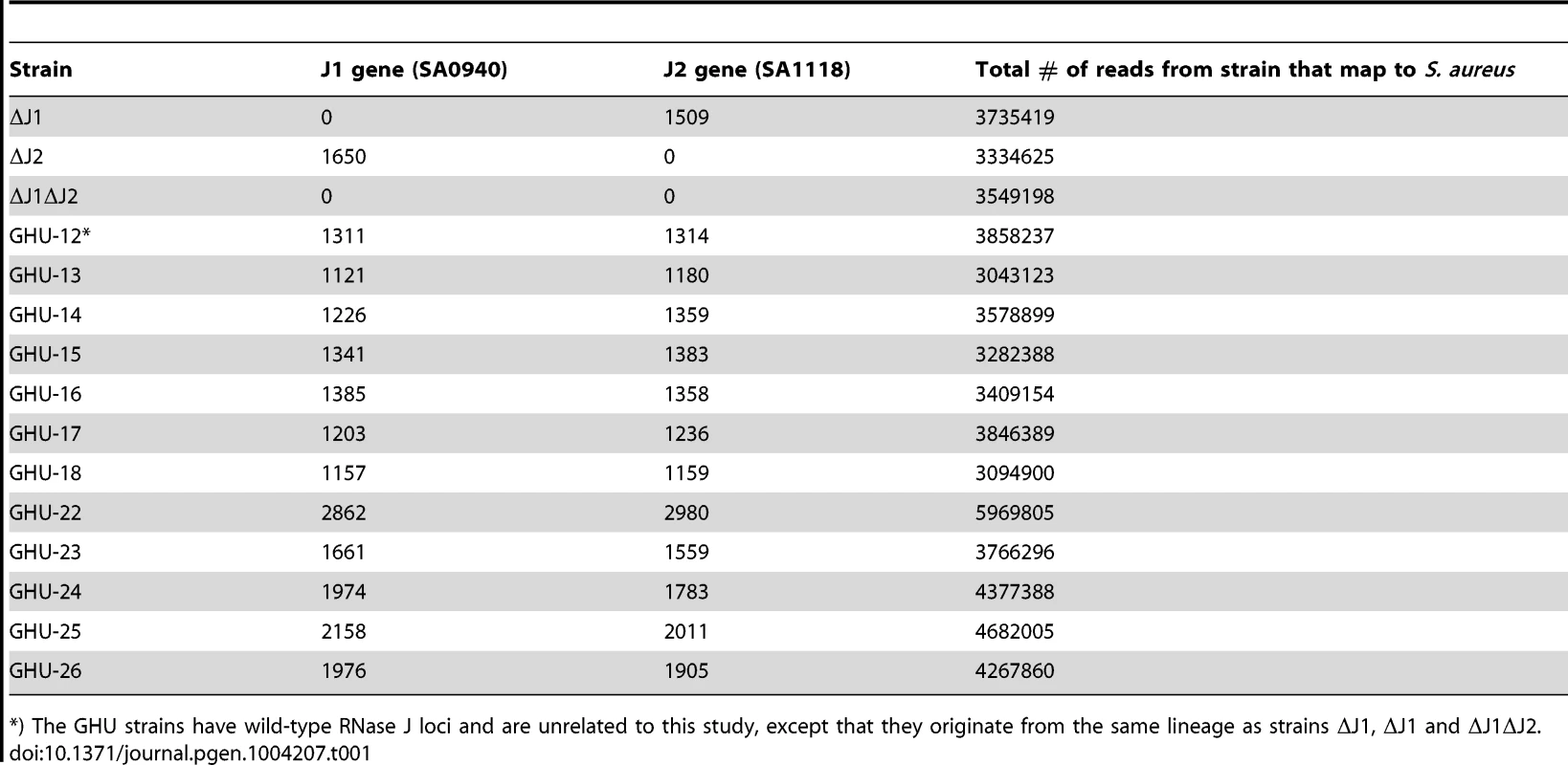 Reads mapping to the RNase J1 and RNase J2 genes in the RNase J deletion mutants and in unrelated strains (GHU-12 to 26).