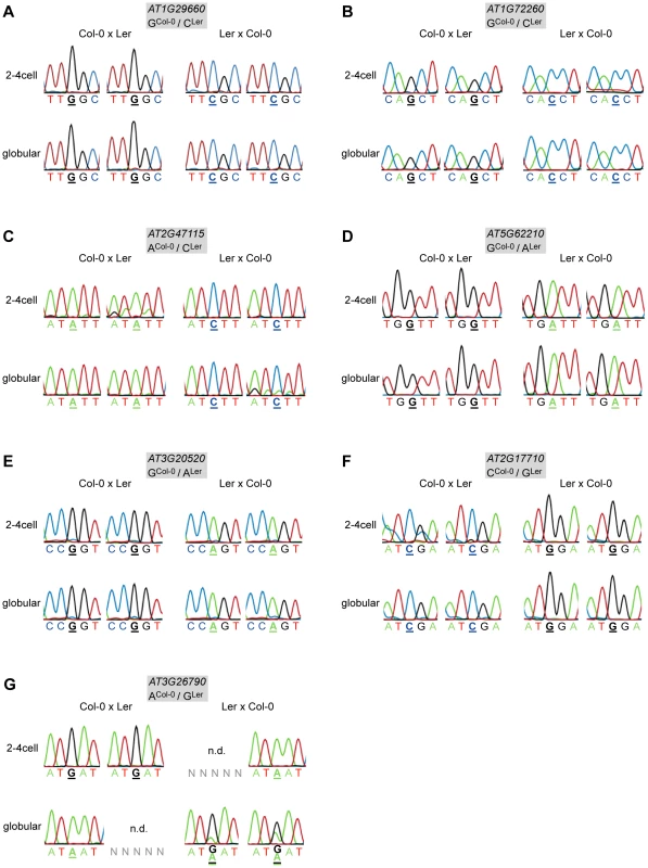 Allele-specific expression analysis of MEGs and PEGs.