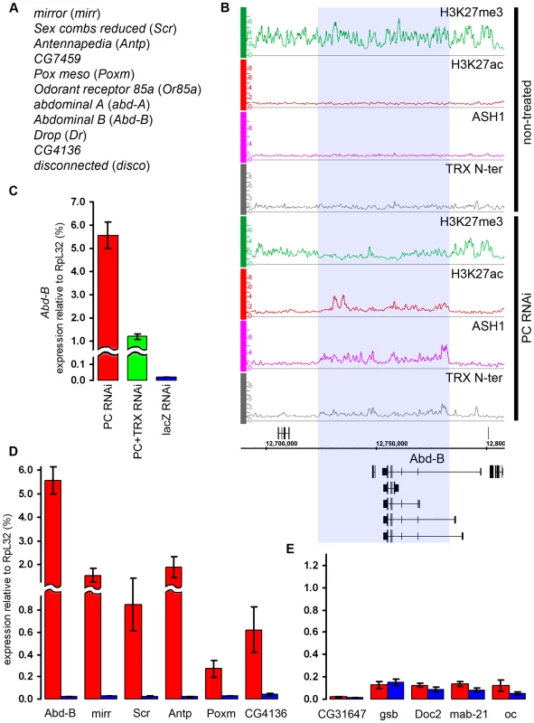 The switching of chromatin state induced by PC RNAi.