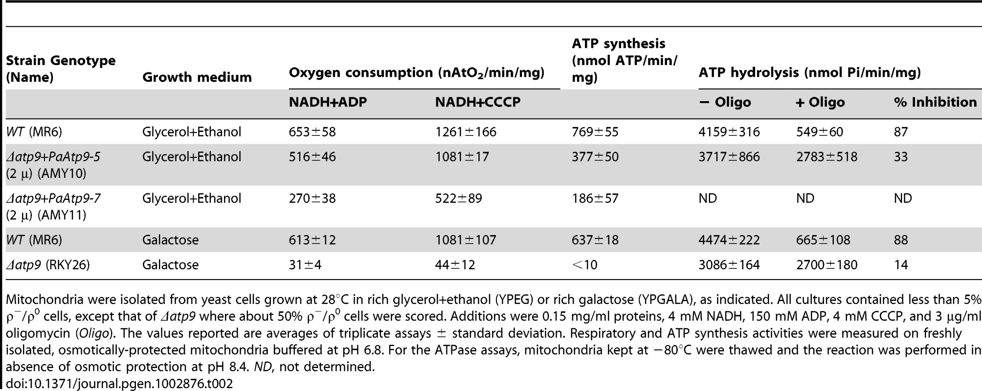 Respiratory and ATP hydrolysis/synthesis activities of mitochondria.