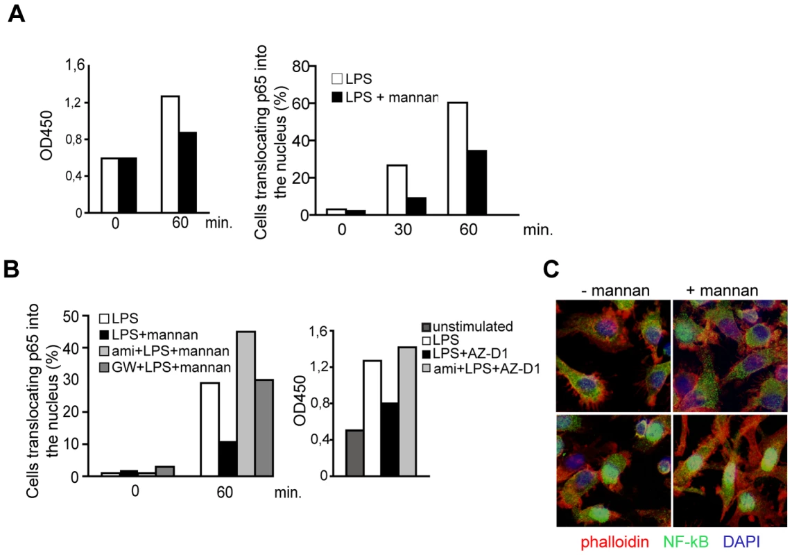 SMase dependent DC-SIGN signaling dampens rather than enhances TLR-stimulated NF-κB activation.