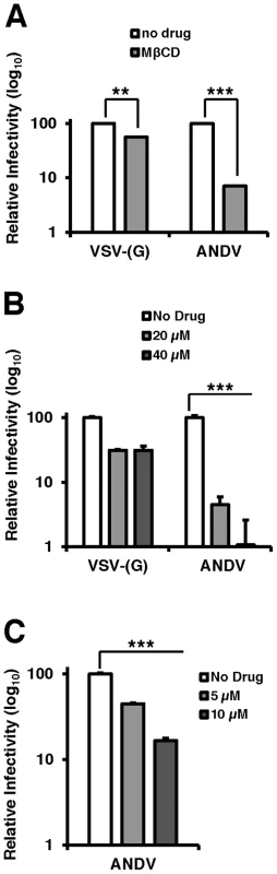 Cholesterol is required for ANDV infection.