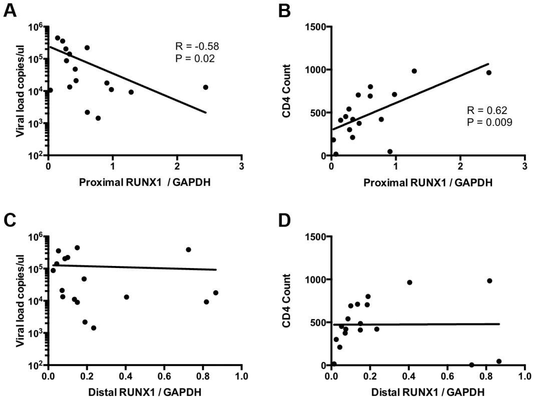 RUNX1 expression in memory CD4+ T-cells correlates with clinical metrics in patients.