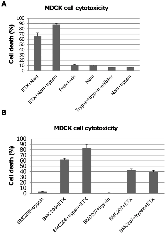 Trypsin-activation of NanI sialidase further enhances ETX-induced MDCK cell cytotoxicity.