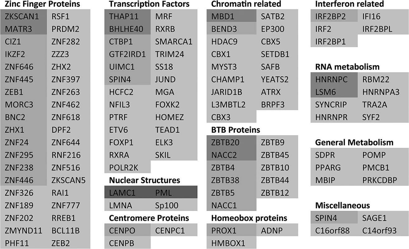 A listing of the proteins showing greater than 3-fold increases in H/L ratios.