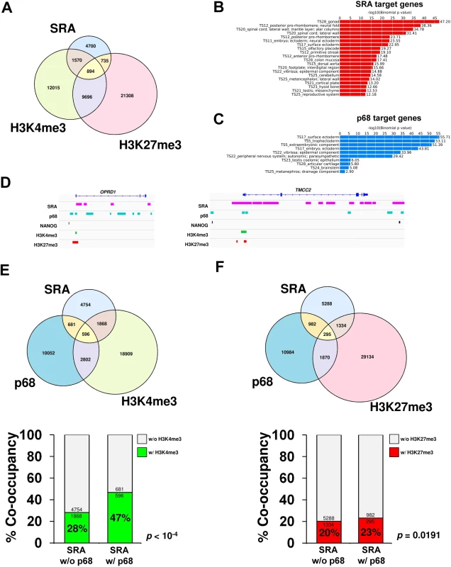 p68 and SRA colocalize at bivalent promoters in pluripotent stem cells.