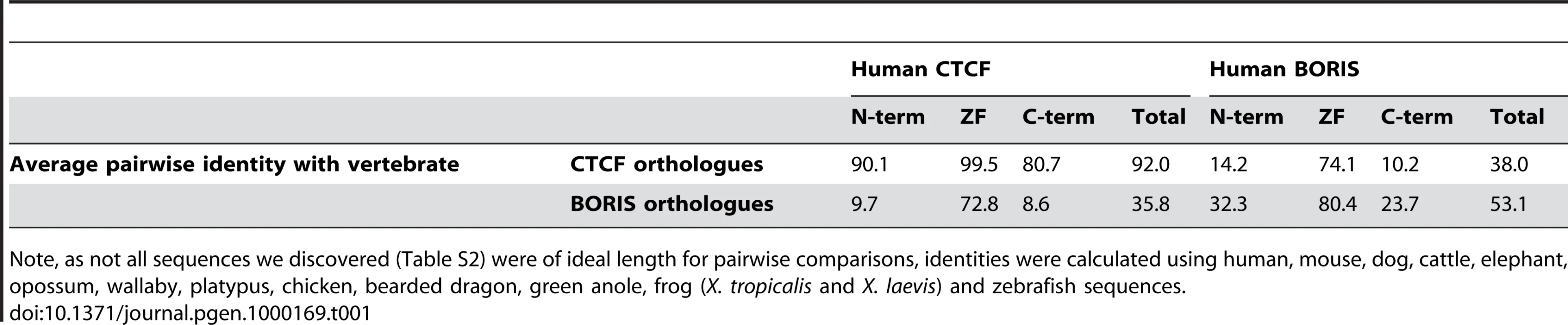 Average pairwise similarity (%) between regions of human CTCF/BORIS and other vertebrate orthologues.