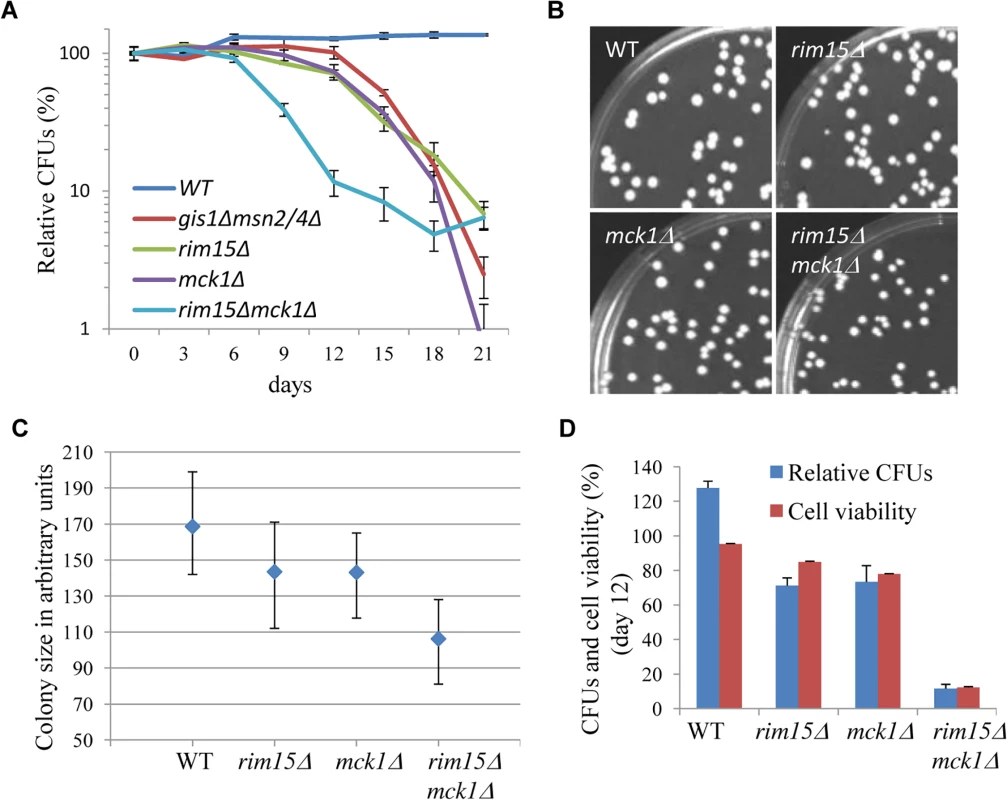 The impact of <i>MCK1</i> and/or <i>RIM15</i> deletion on quiescence exit and cell survival. 7A: