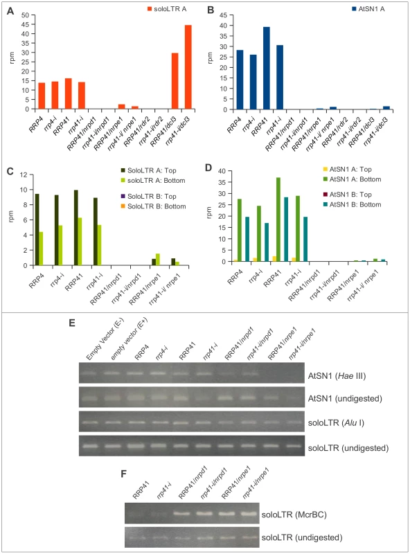 smRNA accumulation and DNA methylation in solo LTR and AtSN1 loci is unaltered upon exosome depletion.