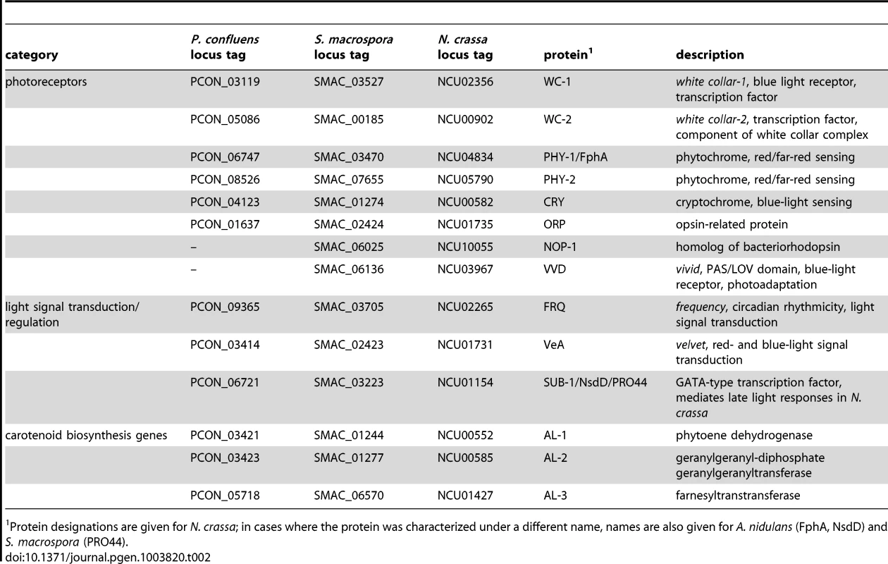 <i>P. confluens</i> homologs of photoreceptor genes, genes involved in light signaling or light-regulated carotenoid biosynthesis genes in other fungi.