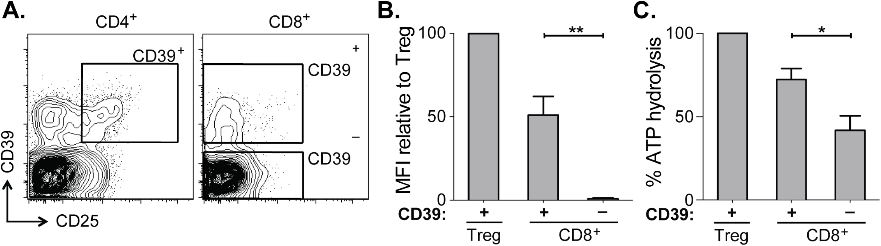 CD39 expressed by CD8<sup>+</sup> T cells in HCV infection is enzymatically active.