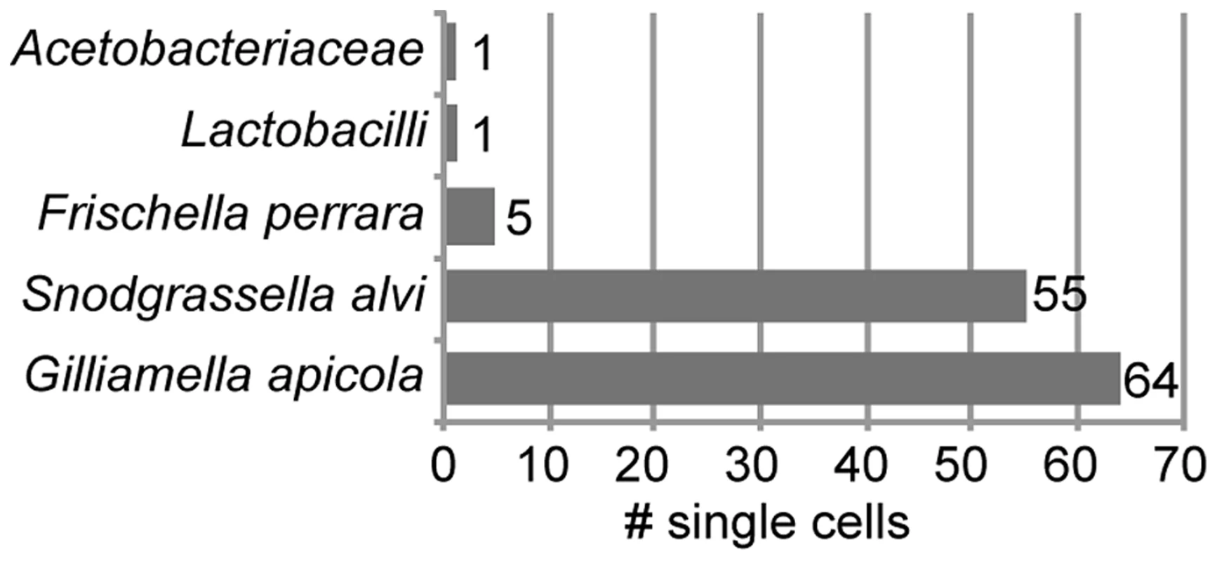 Taxonomic classification of 126 bacterial cells sorted from midguts and ileums of honey bees.