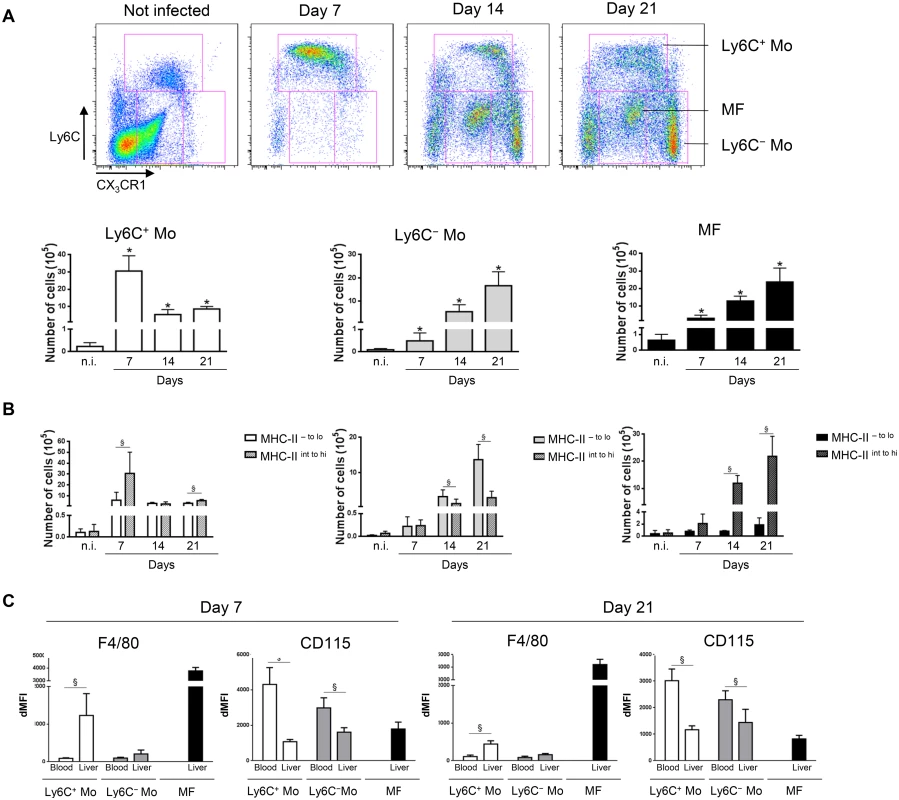 Distinct liver myeloid cell subsets are sequentially mobilized in <i>T</i>. <i>congolense</i>-infected mice.
