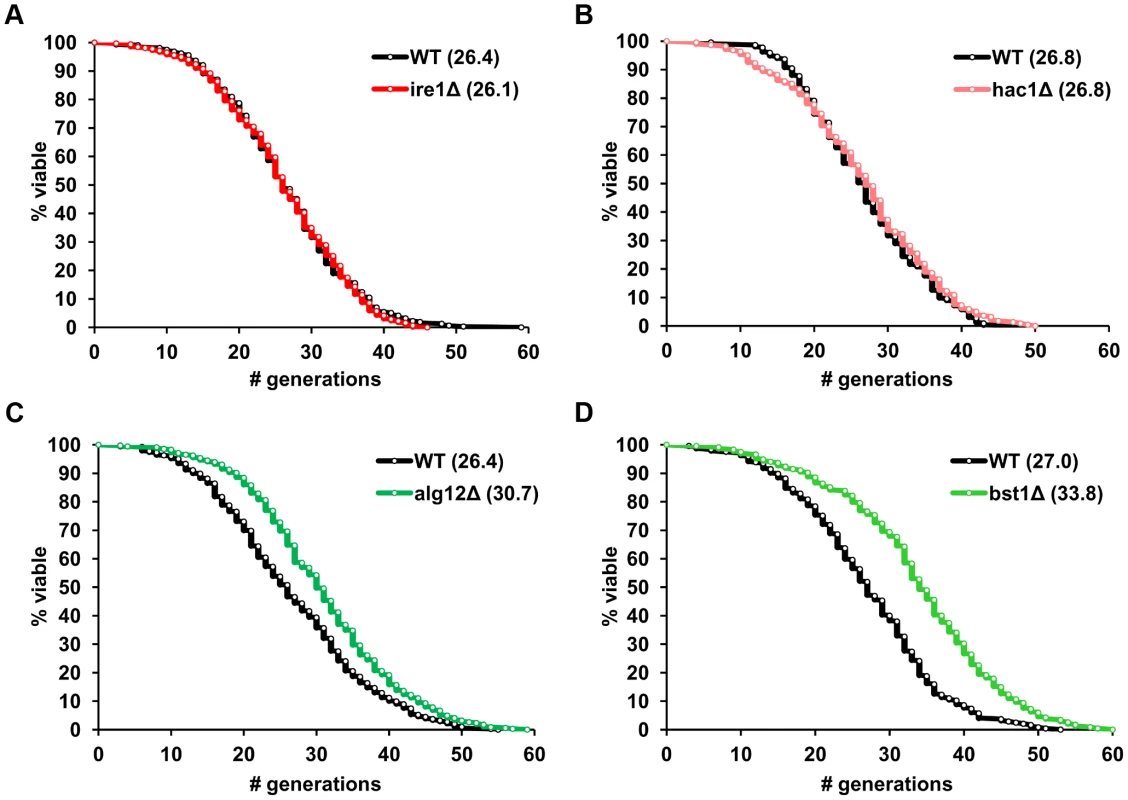 ER stress response genes differentially modulate yeast replicative lifespan.