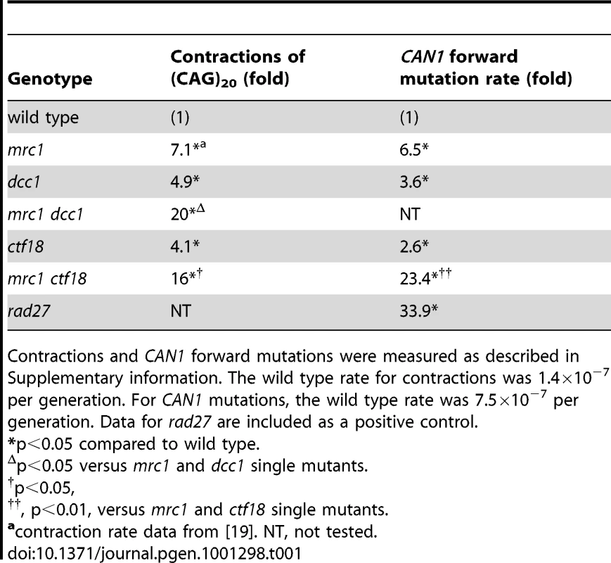 Double mutant analysis of <i>mrc1</i> with <i>dcc1</i> and <i>ctf18</i>.