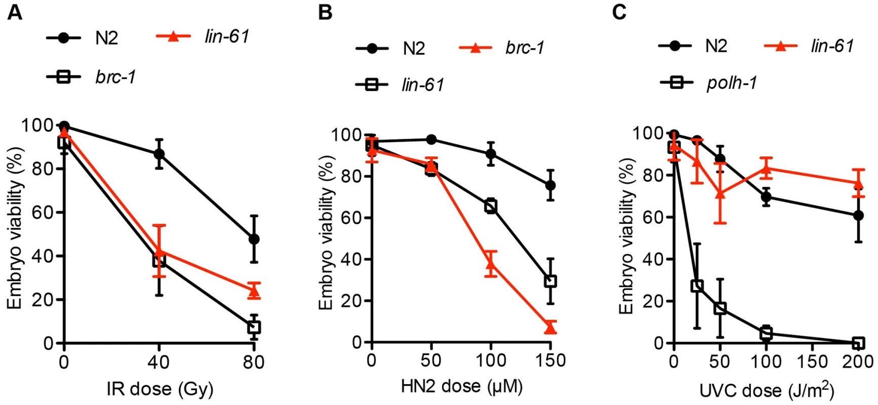 <i>lin-61</i> mutants are sensitive to IR and HN2, but not UV-C.