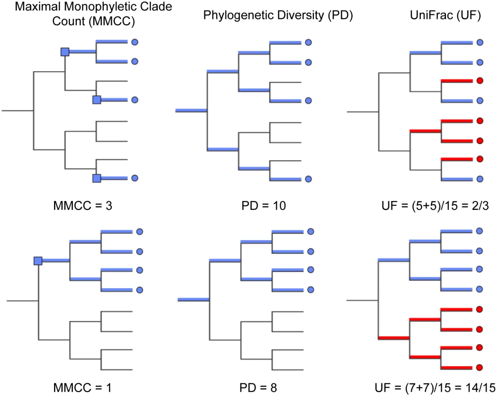 Diversity metrics illustrated graphically for a given phylogenetic tree and tip labeling.