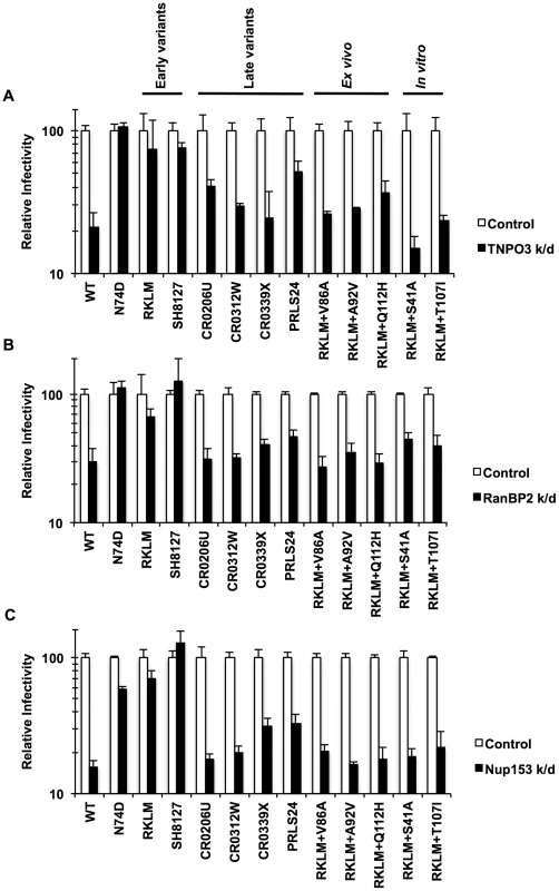 Dependence of various HIV-1 mutants on TNPO3, RanBP2 and Nup153.