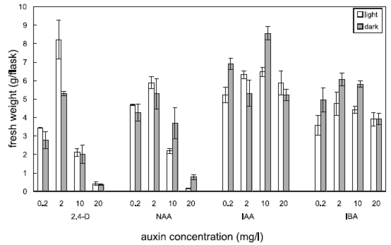 Effects of auxins on cell growth (fresh biomass) in cell suspension cultures of Angelica archangelica L. cultured in the light or in the dark