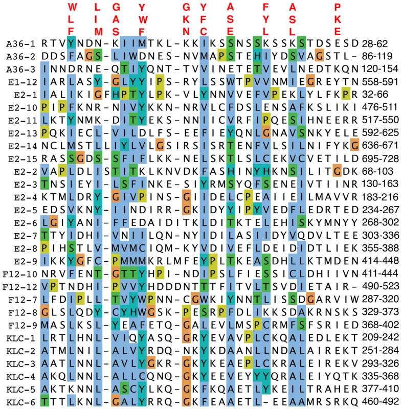 Alignment of TPRs of VACV proteins F12, A36, and E2 with KLC TPRs.