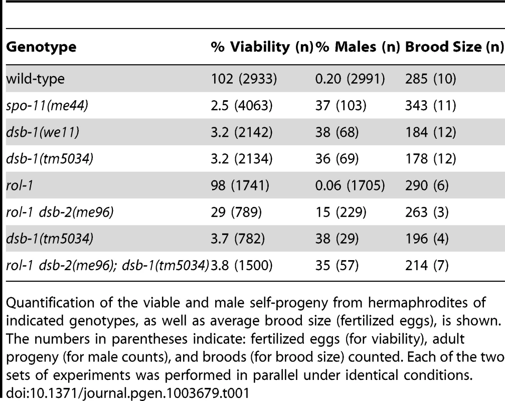 Progeny viability, incidence of males, and brood size from <i>dsb-1</i> and <i>dsb-2</i> mutants.