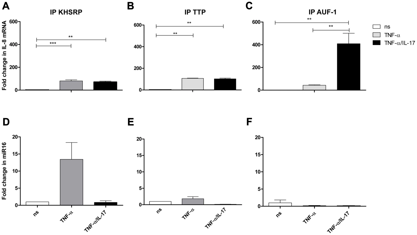 IL-8 mRNA and miR16 present in immuno-purified preparations of AUBps.