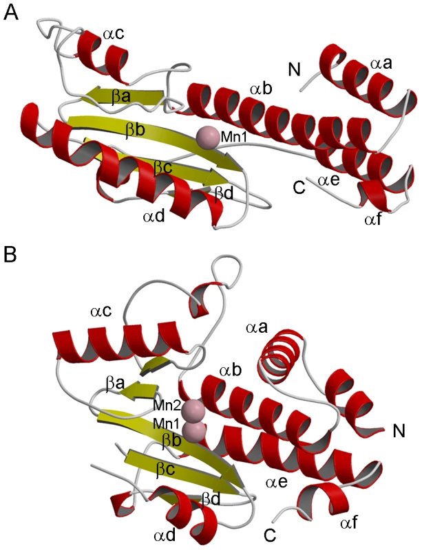 Structure of LC183 compared to influenza A/H3N2 PA-Nter.