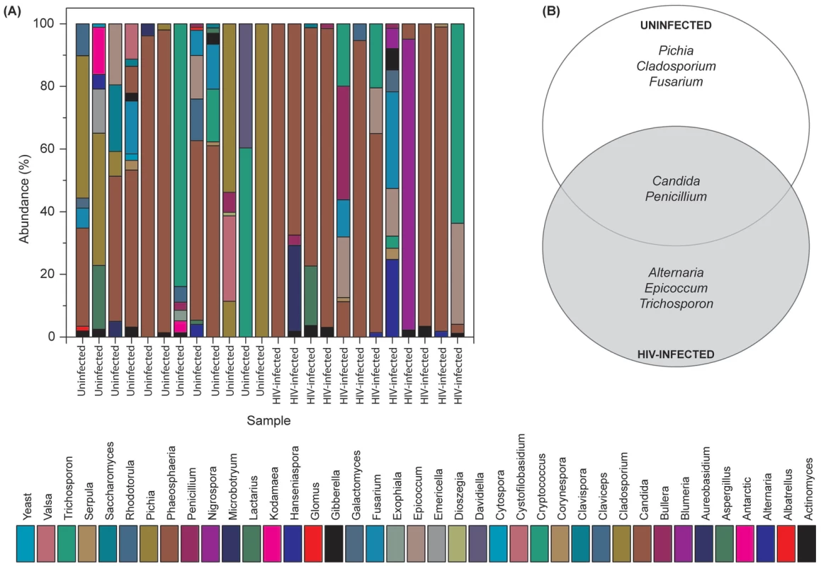 Fungal microbiome (mycobiome) of HIV-infected patients and uninfected individuals.