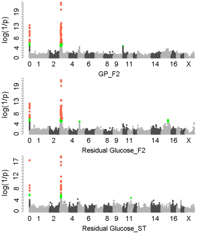GWAS results for glycolytic potential and residual glycogen contents in longissimus muscle from the F<sub>2</sub> and Sutai populations.