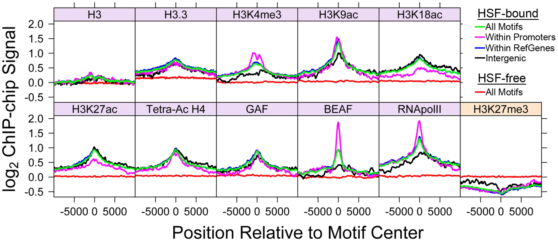 Bound HSE motifs contain marks of active chromatin prior to HSF binding.
