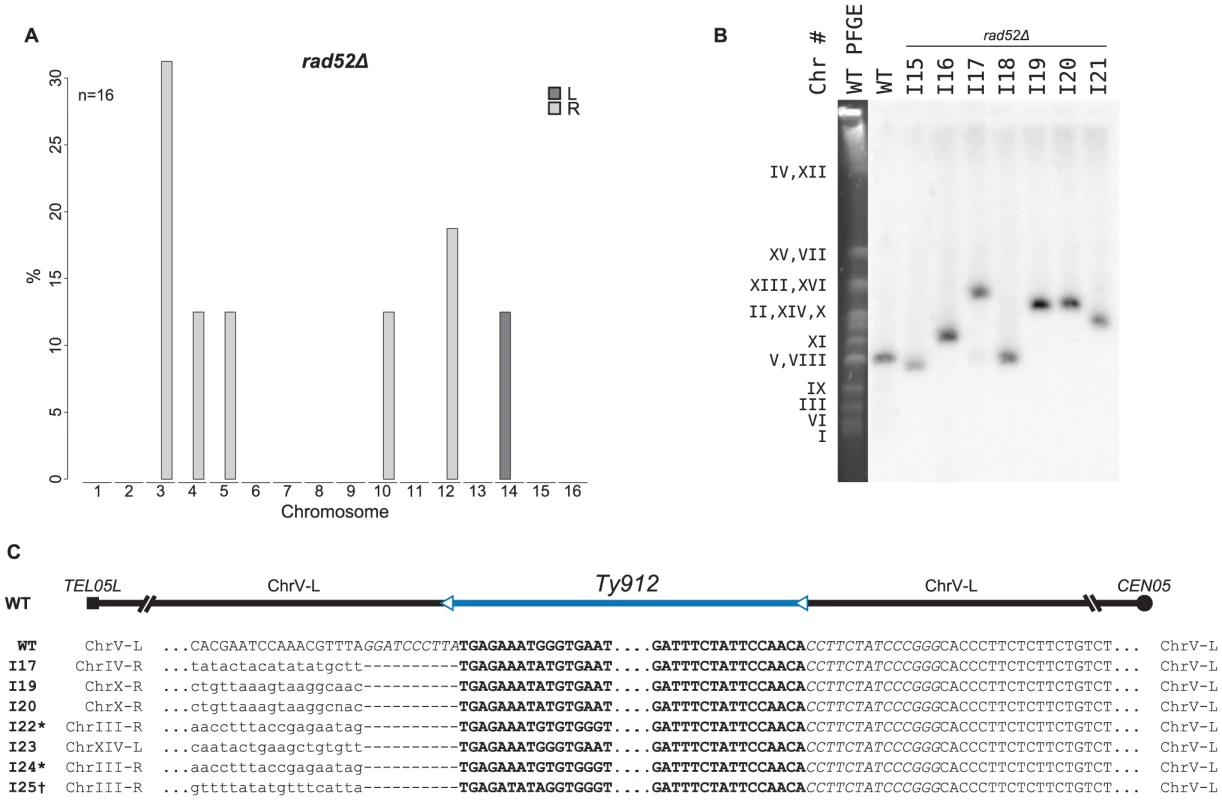 MLPA, Southern blot, and sequencing analyses of GCRs derived from a <i>rad52Δ</i> recombination-deficient mutant strain.