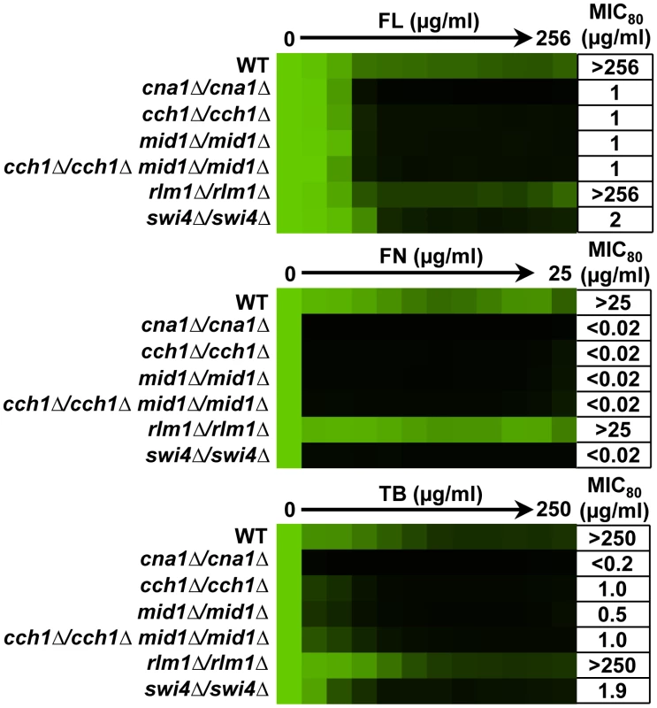Swi4 and Cch1-Mid1 play critical roles in ergosterol biosynthesis inhibitor tolerance of <i>C. albicans</i>.