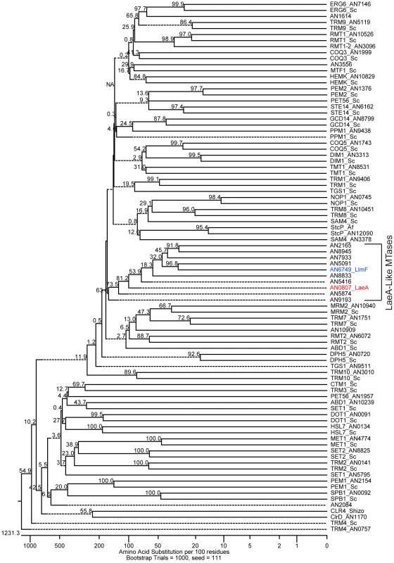 Reverse genetics identified LaeA-like methyltransferases in <i>A. nidulans</i>.