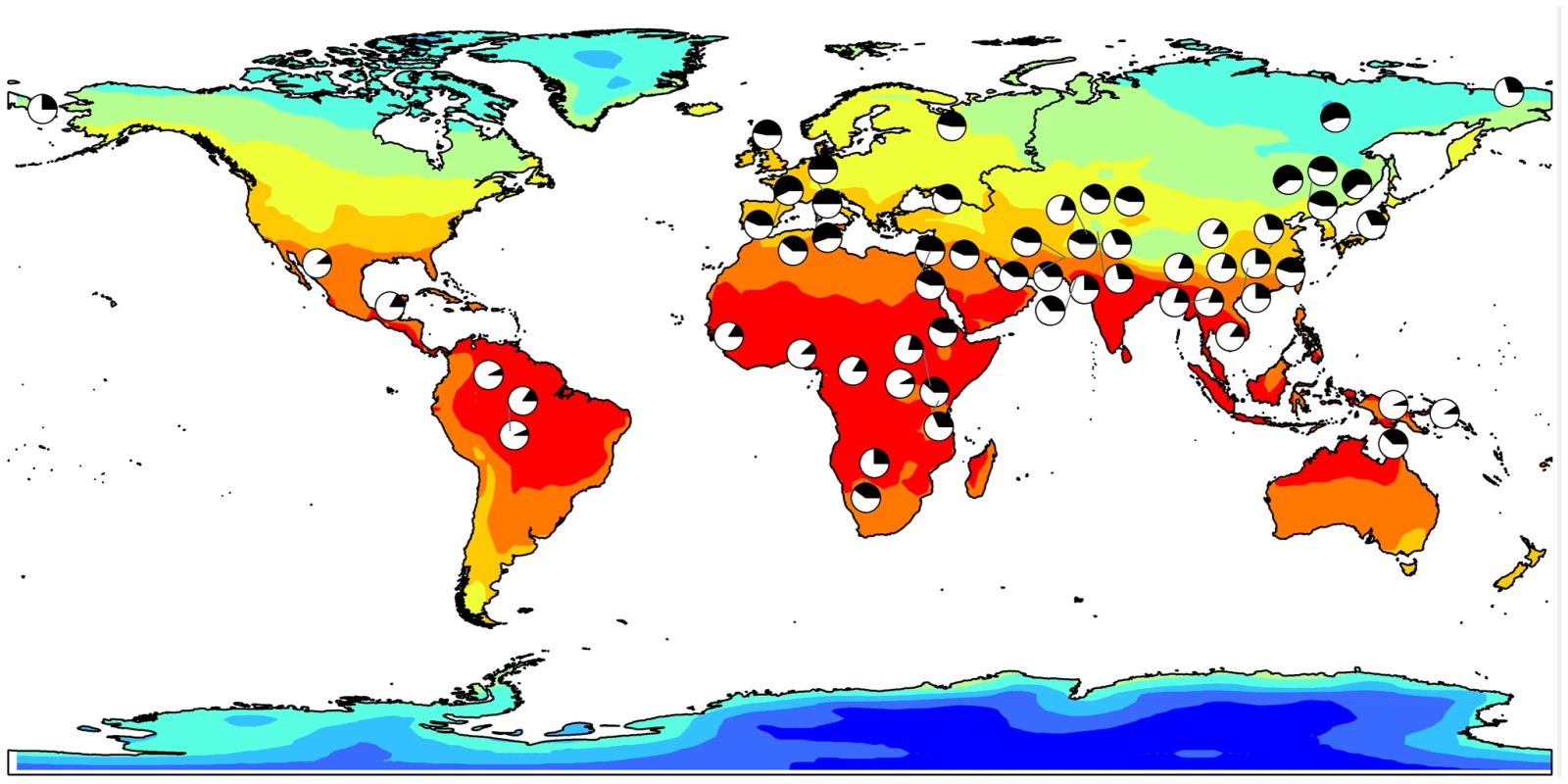 Allele frequency for rs11868112 (ancestral and derived alleles are shown in white and black, respectively) in HGDP populations mapped onto a GIS map of Winter maximum temperature.