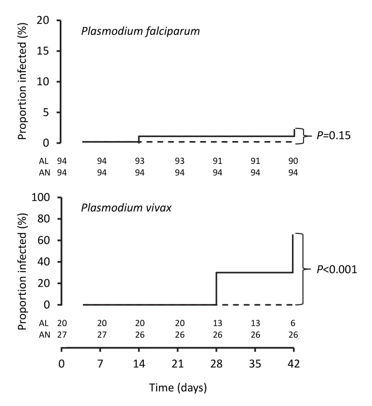 Kaplan-Meier plots showing percentages of patients positive for PCR-corrected <i>P. falciparum</i> and for PCR-uncorrected <i>P. vivax</i> after treatment.