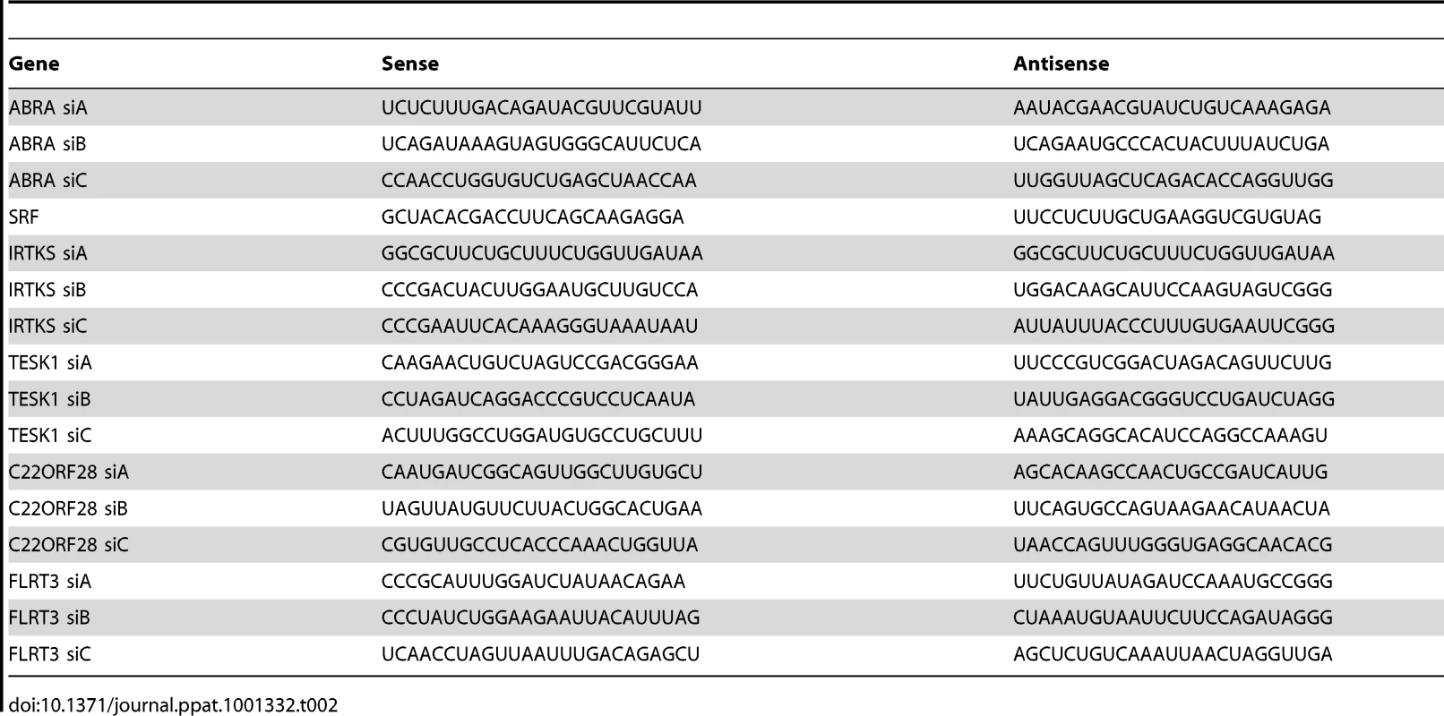 siRNA silencing sequences.