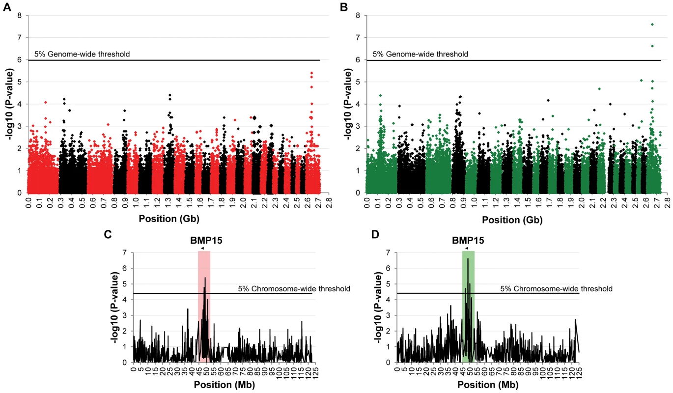 Genome-wide and chromosome-wide association results.